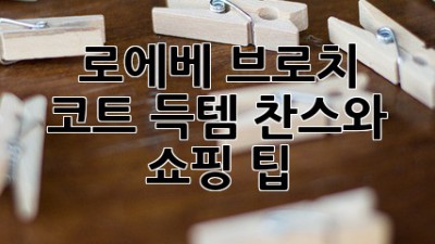 로에베 브로치 코트: 득템 찬스와 쇼핑 팁